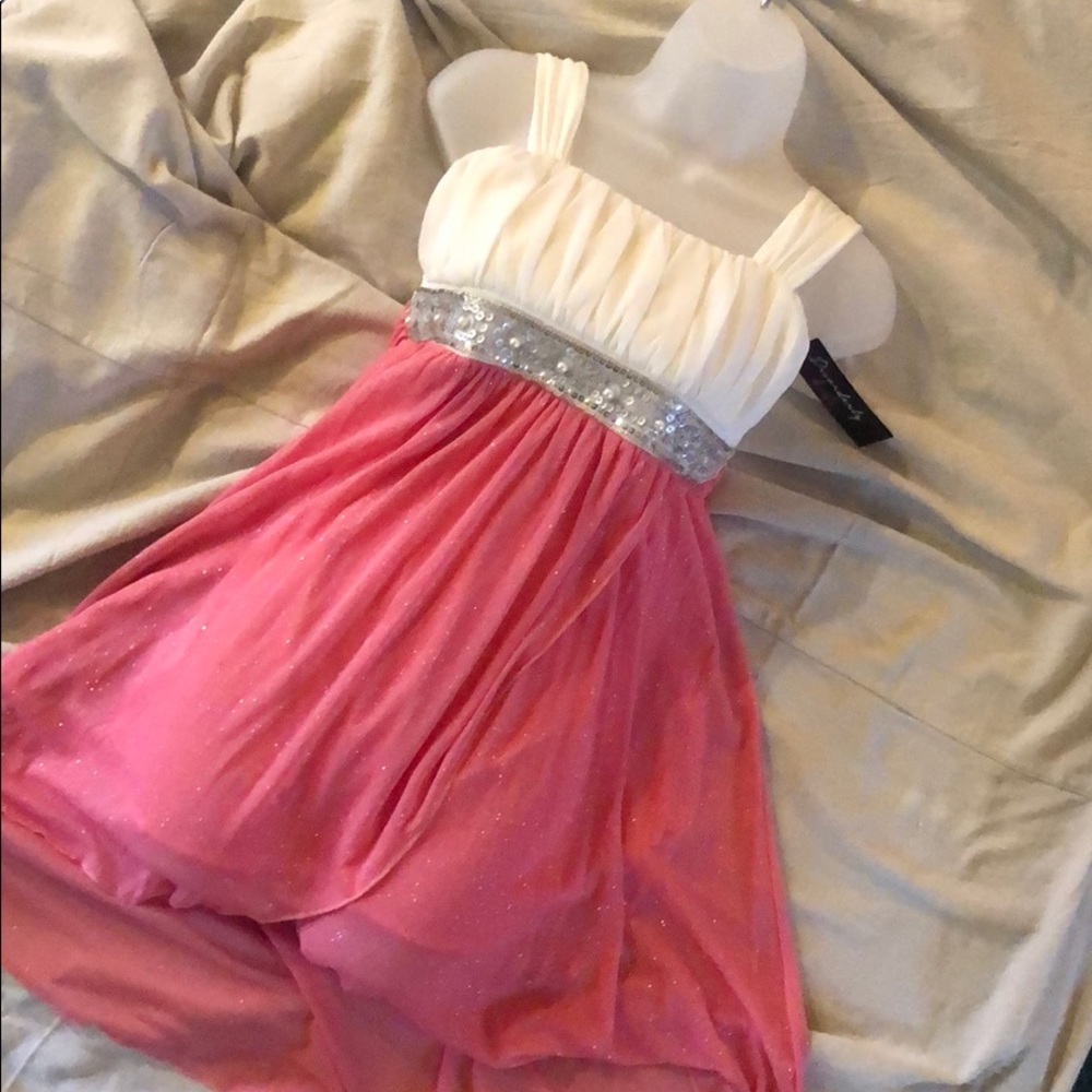 Girls Size 10 Pink/Ivory/Silver Dress